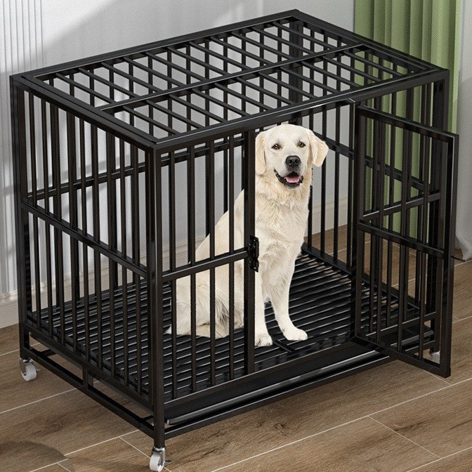 Durable and Comfortable Pet Cages for Every Companion