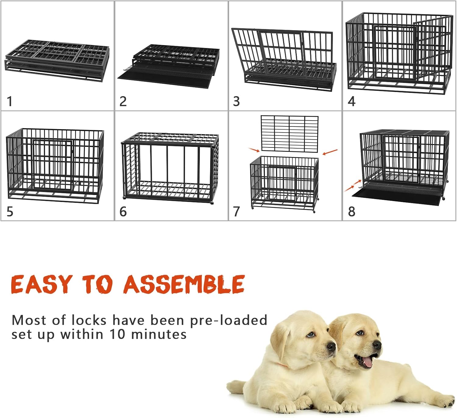 Sturdy and Comfortable Pet Cages for Your Beloved Companion